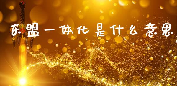 东盟一体化是什么意思_https://m.letulww.com_期货交易策略_第1张