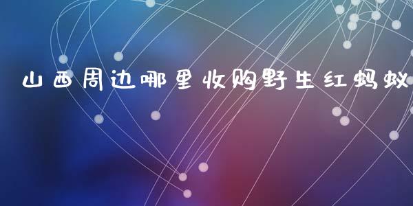 山西周边哪里收购野生红蚂蚁_期货交易软件_第1张_期货开户保证金_期货交易软件_股指期货交易时间_期货交易策略 山西周边哪里收购野生红蚂蚁_https://m.letulww.com_期货交易软件_第1张