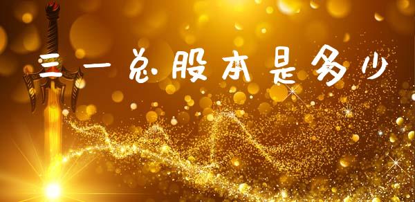 三一总股本是多少_https://m.letulww.com_期货开户保证金_第1张