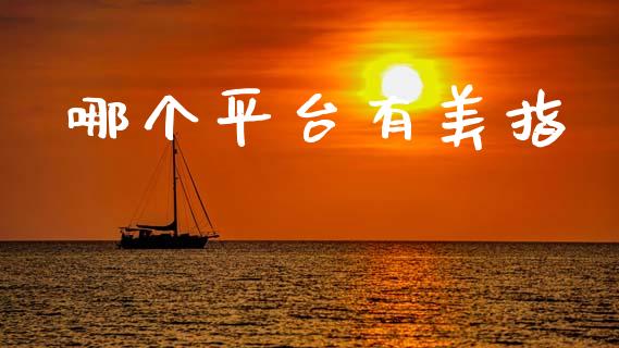 哪个平台有美指_https://m.letulww.com_期货开户保证金_第1张