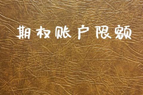 期权账户限额_https://m.letulww.com_期货交易软件_第1张