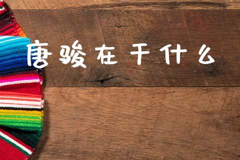 唐骏在干什么_https://m.letulww.com_股指期货交易时间_第1张