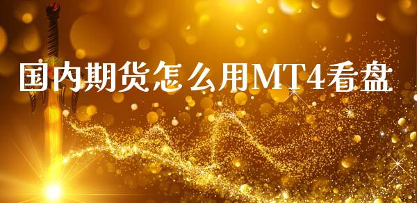 国内期货怎么用MT4看盘_https://m.letulww.com_股指期货交易时间_第1张