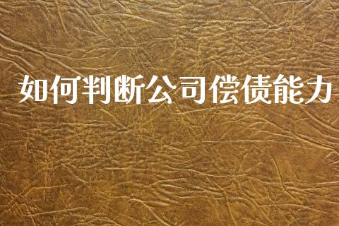 如何判断公司偿债能力_https://m.letulww.com_期货交易软件_第1张