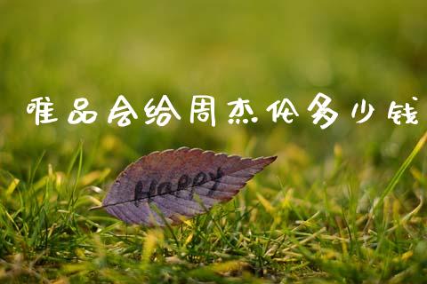 唯品会给周杰伦多少钱_https://m.letulww.com_期货交易软件_第1张