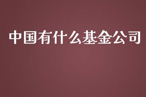 中国有什么基金公司_https://m.letulww.com_期货交易策略_第1张