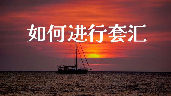 如何进行套汇_https://m.letulww.com_股指期货交易时间_第1张