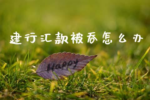 建行汇款被吞怎么办_https://m.letulww.com_期货交易软件_第1张