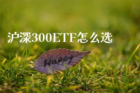 沪深300ETF怎么选_https://m.letulww.com_股指期货交易时间_第1张