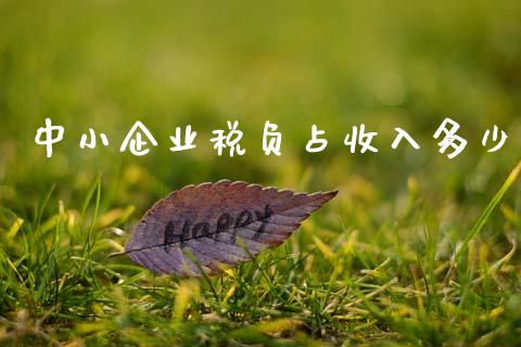 中小企业税负占收入多少_https://m.letulww.com_期货交易软件_第1张