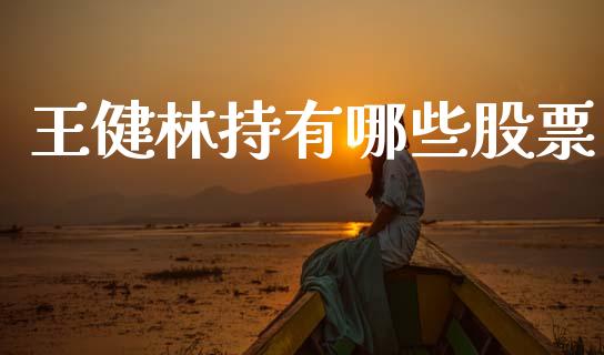 王健林持有哪些股票_https://m.letulww.com_期货开户保证金_第1张
