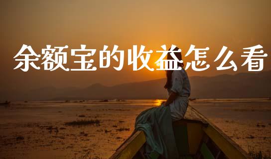 余额宝的收益怎么看_https://m.letulww.com_期货交易策略_第1张