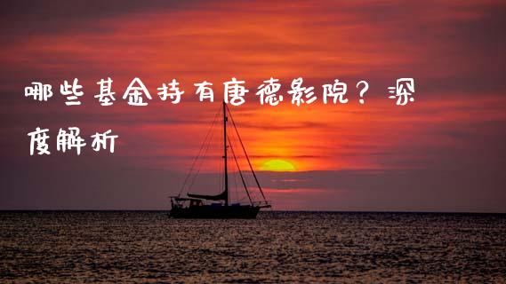 哪些基金持有唐德影院？深度解析_https://m.letulww.com_期货交易策略_第1张