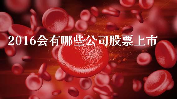 2016会有哪些公司股票上市_https://m.letulww.com_期货交易软件_第1张