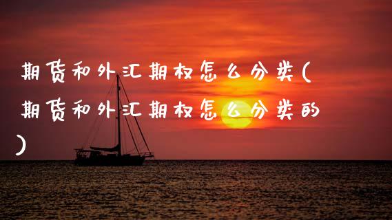 期货和外汇期权怎么分类(期货和外汇期权怎么分类的)_https://m.letulww.com_期货交易策略_第1张