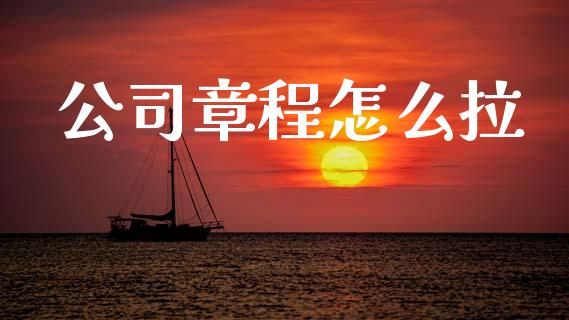 公司章程怎么拉_https://m.letulww.com_期货交易策略_第1张