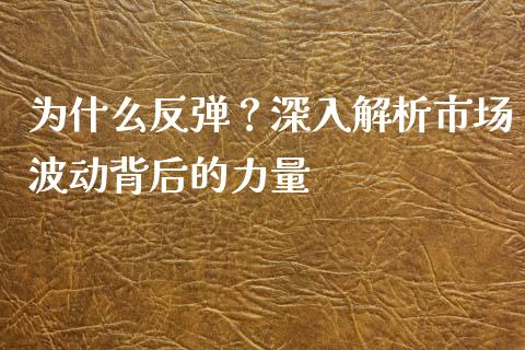 为什么反弹？深入解析市场波动背后的力量_https://m.letulww.com_期货交易策略_第1张