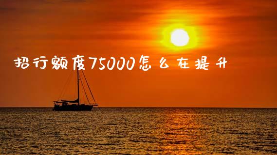 招行额度75000怎么在提升_https://m.letulww.com_股指期货交易时间_第1张