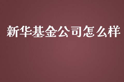 新华基金公司怎么样_https://m.letulww.com_股指期货交易时间_第1张