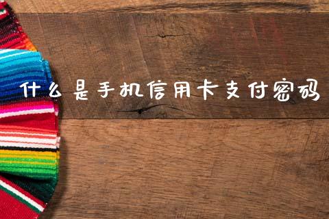 什么是手机信用卡支付密码_https://m.letulww.com_期货交易软件_第1张