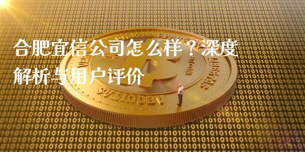 合肥宜信公司怎么样？深度解析与用户评价_https://m.letulww.com_期货交易策略_第1张