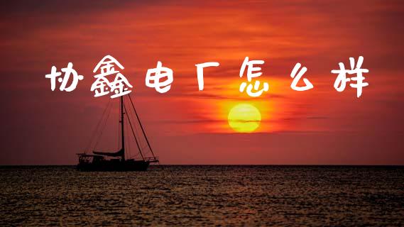 协鑫电厂怎么样_https://m.letulww.com_期货开户保证金_第1张