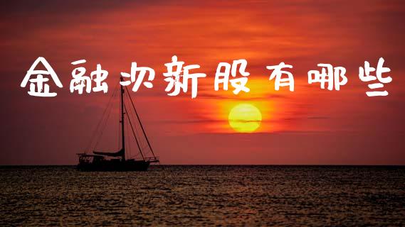 金融次新股有哪些_https://m.letulww.com_期货开户保证金_第1张