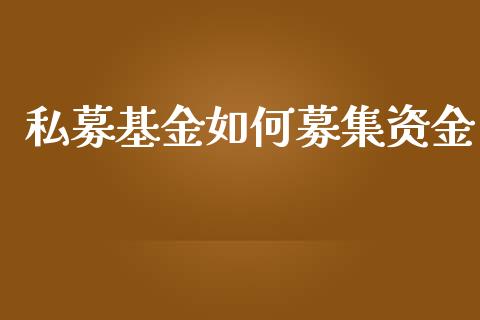 私募基金如何募集资金_https://m.letulww.com_期货交易软件_第1张
