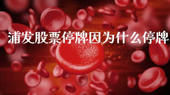 浦发股票停牌因为什么停牌_https://m.letulww.com_期货开户保证金_第1张