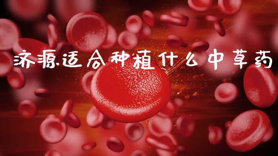 济源适合种植什么中草药_https://m.letulww.com_股指期货交易时间_第1张