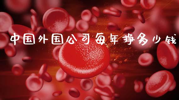 中国外国公司每年挣多少钱_https://m.letulww.com_股指期货交易时间_第1张