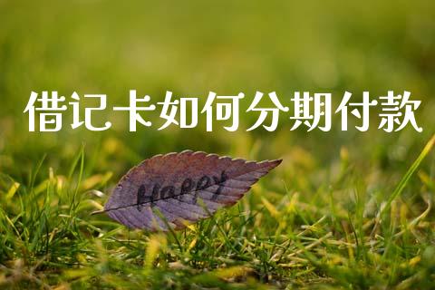 借记卡如何分期付款_https://m.letulww.com_期货交易策略_第1张