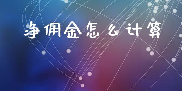 净佣金怎么计算_https://m.letulww.com_期货开户保证金_第1张