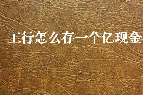 工行怎么存一个亿现金_https://m.letulww.com_期货交易软件_第1张