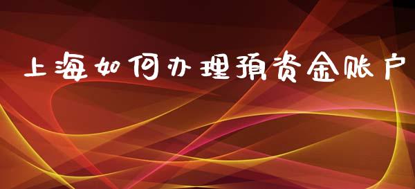 上海如何办理预资金账户_https://m.letulww.com_股指期货交易时间_第1张