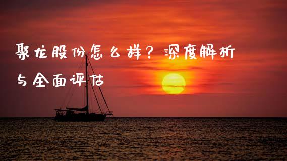 聚龙股份怎么样？深度解析与全面评估_https://m.letulww.com_股指期货交易时间_第1张