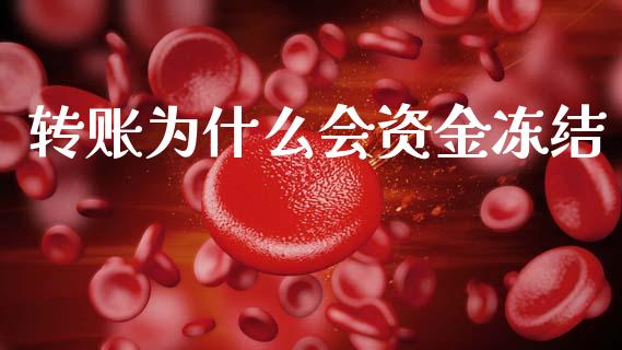转账为什么会资金冻结_https://m.letulww.com_期货交易策略_第1张
