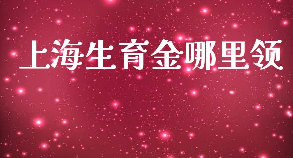 上海生育金哪里领_https://m.letulww.com_期货交易软件_第1张