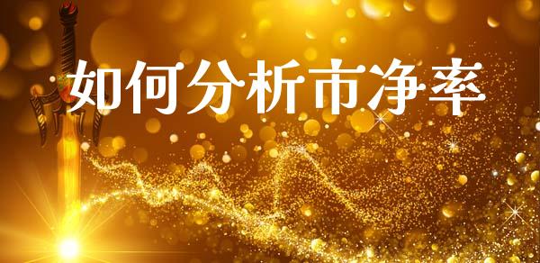 如何分析市净率_https://m.letulww.com_期货交易策略_第1张