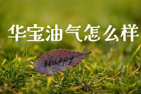 华宝油气怎么样_https://m.letulww.com_股指期货交易时间_第1张