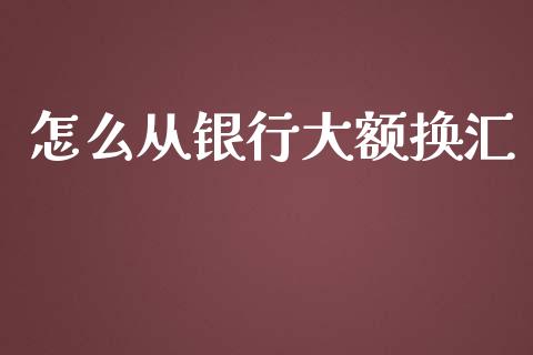 怎么从银行大额换汇_https://m.letulww.com_期货交易软件_第1张