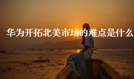 华为开拓北美市场的难点是什么_https://m.letulww.com_期货开户保证金_第1张