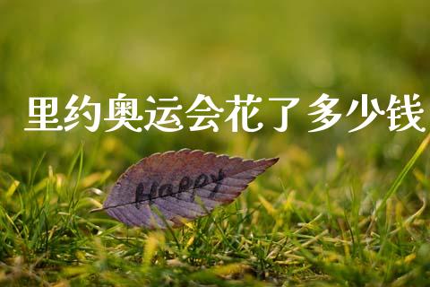 里约奥运会花了多少钱_https://m.letulww.com_期货交易策略_第1张