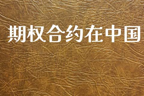 期权合约在中国_https://m.letulww.com_期货交易策略_第1张