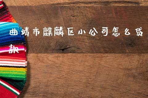 曲靖市麒麟区小公司怎么贷款_https://m.letulww.com_期货开户保证金_第1张