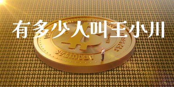 有多少人叫王小川_https://m.letulww.com_期货交易策略_第1张
