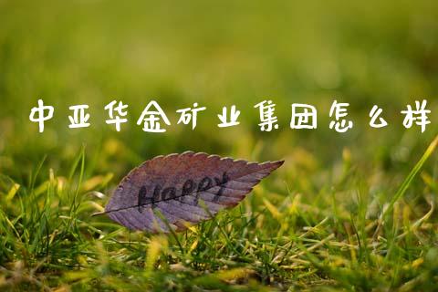 中亚华金矿业集团怎么样_https://m.letulww.com_期货开户保证金_第1张