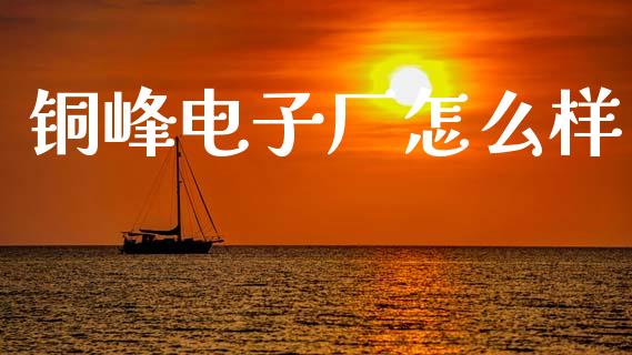 铜峰电子厂怎么样_https://m.letulww.com_期货交易软件_第1张