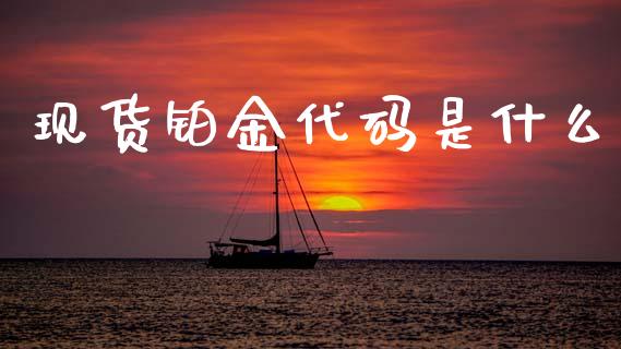 现货铂金代码是什么_https://m.letulww.com_期货交易策略_第1张