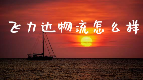 飞力达物流怎么样_https://m.letulww.com_期货交易软件_第1张